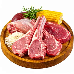 Granule pro psy TYGERO DAILY BEEF - střední a velké plemeno - 12kg Granule pro psy TYGERO DAILY BEEF - střední a velké plemeno - 12kg